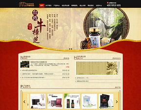 萬戶網絡 18年老牌網站建設公司，專業鑄就廣州與深圳精品網站設計