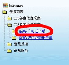 大連網站建設與網絡推廣一站式解決方案——大連新圖聞科技