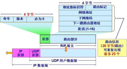 計(jì)算機(jī)網(wǎng)絡(luò) 謝希仁版第四章節(jié)《網(wǎng)絡(luò)層》重點(diǎn)解析與安裝維護(hù)要點(diǎn)